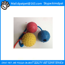 Caoutchouc Pet Toy